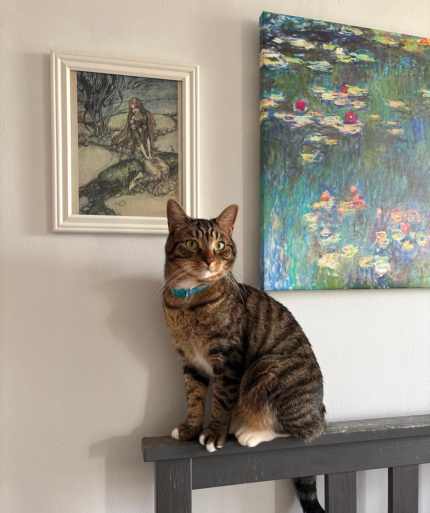 Brown tabby cat with a blue collar posing regally on top of a scratched gray headboard in front of a framed print of an Arthur Rackham fairy and a portion of Monet's water lilies