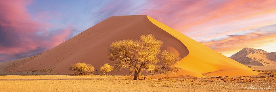 Namib, Deadvlei, Namibia Landscape Image