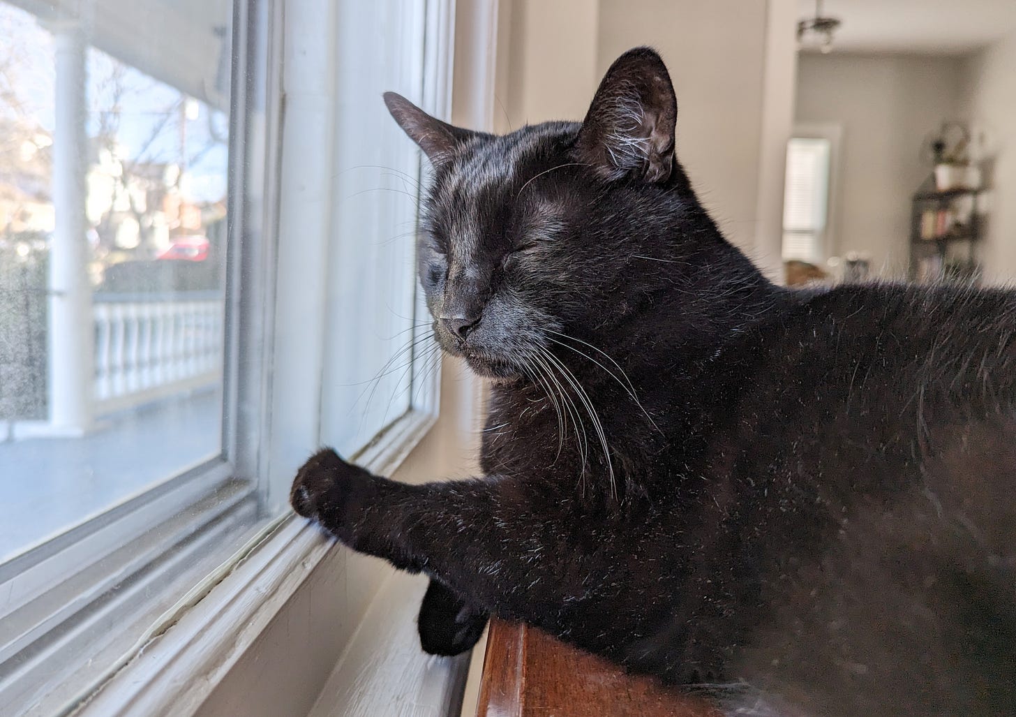 A black cat reclines by a window, one front paw on the sill. His eyes are closed.