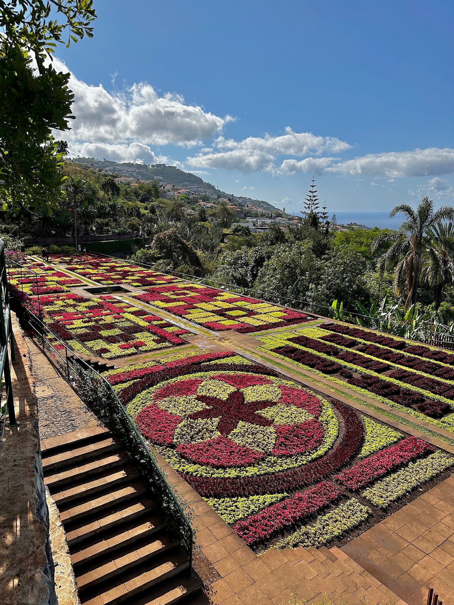 Mosaiculture at Jardim Botânico da Madeira. Photo by Noah Meanix