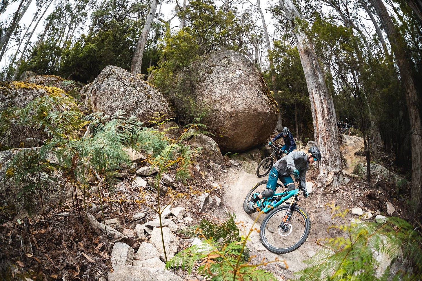Eat, stay, ride Blue Derby - Australian Mountain Bike | The home for  Australian Mountain Bikes