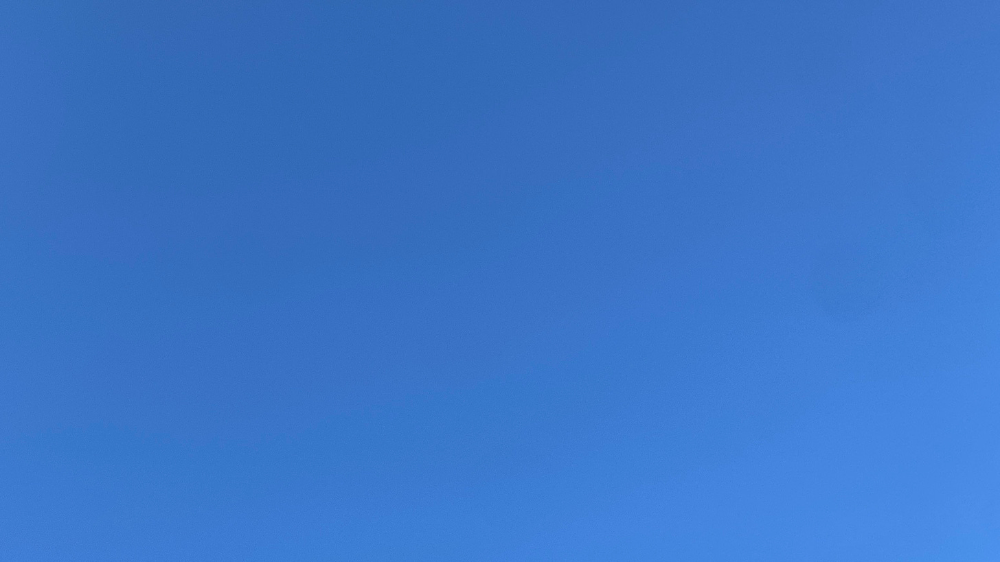 A featureless, bright blue sky.