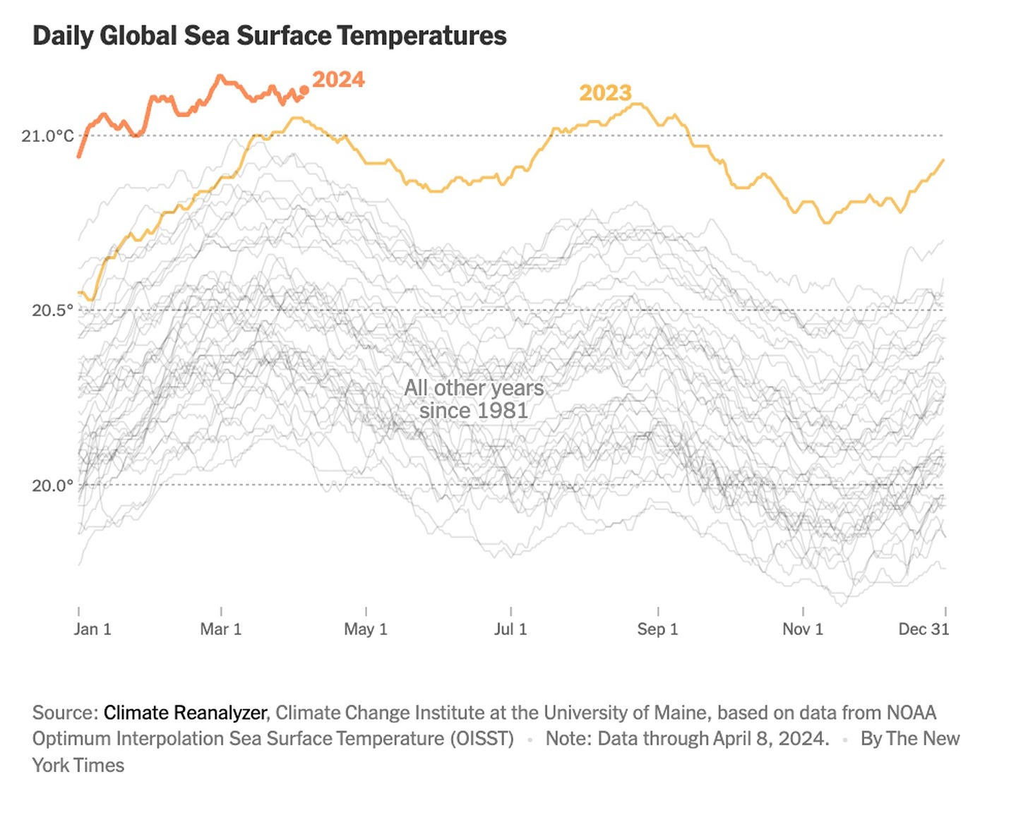 Line graph depicting sea surface temperature rise since 1981, inexorably rising with a sharp rise in 2023 continuing this year.