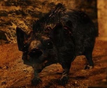 Corpse Rat | Dark Souls Wiki | Fandom