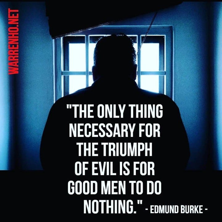 The only thing necessary for the triumph of evil is for good men to do  nothing." - Edmund Burke