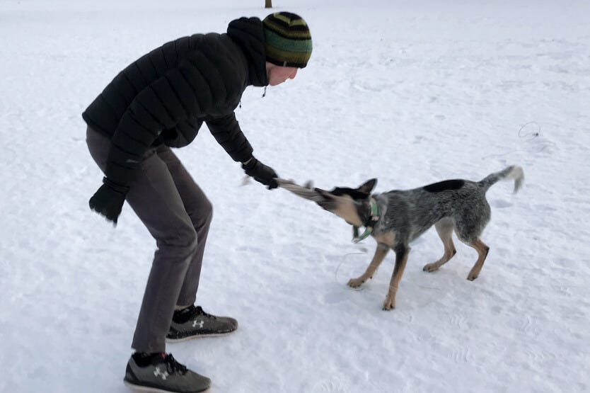 Sean and Scout playing tug in the park in Wisconsin