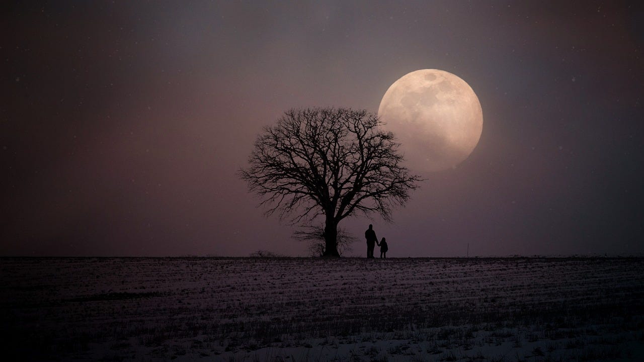 A picture of a winter moon in the sky with the silhouette of a tree and two people in the foreground. 