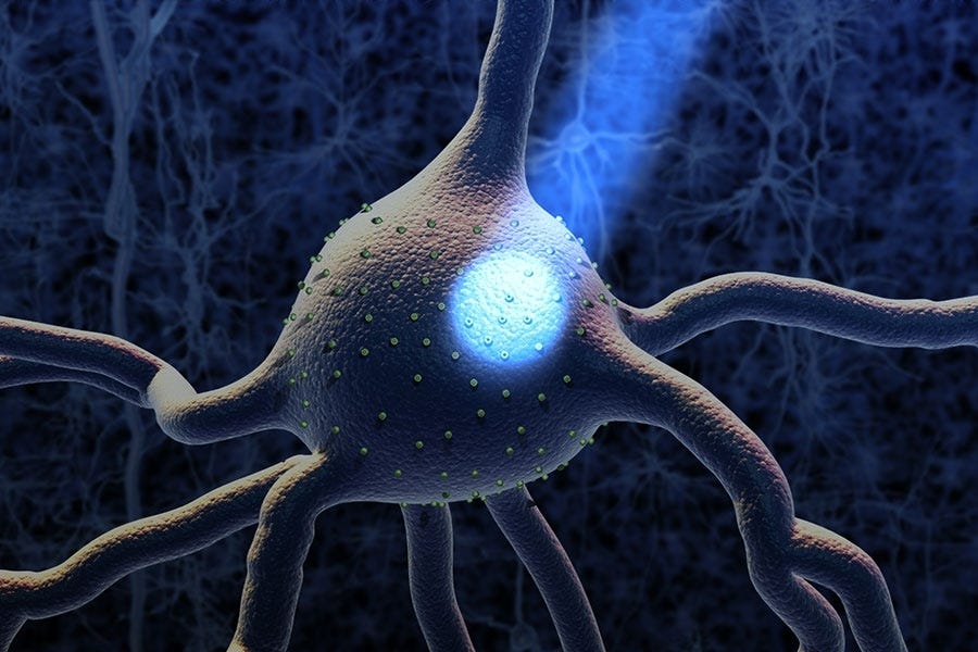 Optogenetics with SOUL | MIT News | Massachusetts Institute of Technology