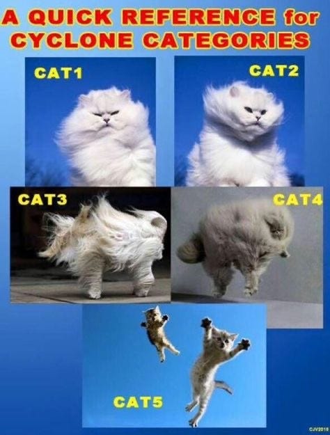 A QUICK REFERENCE for CYCLONE CATEGORIES 

CAT1 (A white cat with long fur in a stiff breeze)

CAT2 (Cat with fur being blown hard by strong wind)

САТ3 (Cat standing, trying to keep balance in the wind)

CAT4 (Cat having trouble staying in the ground with wind turning it into a fluff ball)

CAT5 (A pair of kitties being lifted into the sky by the wind)