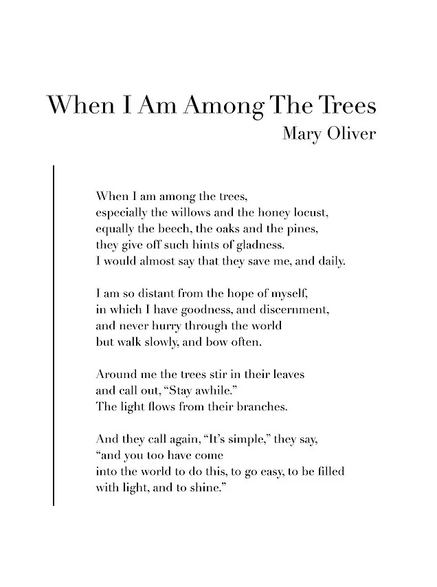 When I Am Among The Trees by Mary Oliver | Art Print