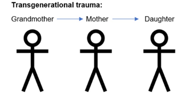 Transgenerational trauma - Wikipedia