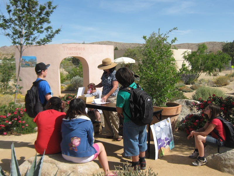 Students learning about desert water conservation..