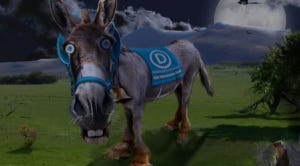 donkeynight donkeynight