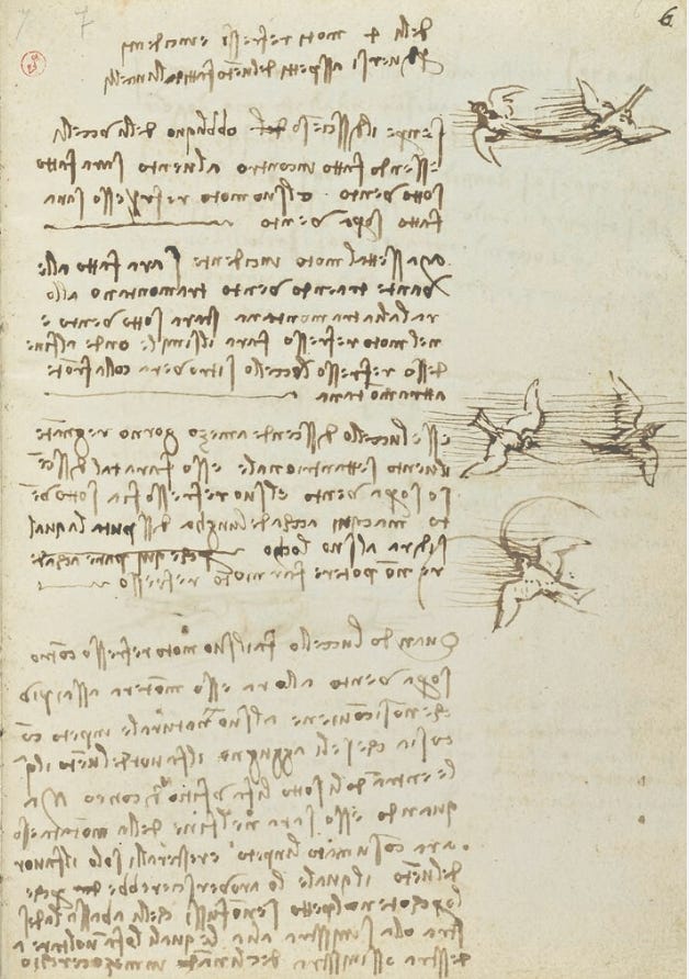 Leonardo da Vinci sketches of birds flying