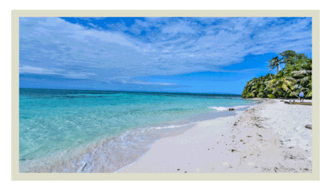 A postcard says take a trip to Belize A postcard says take a trip to Belize