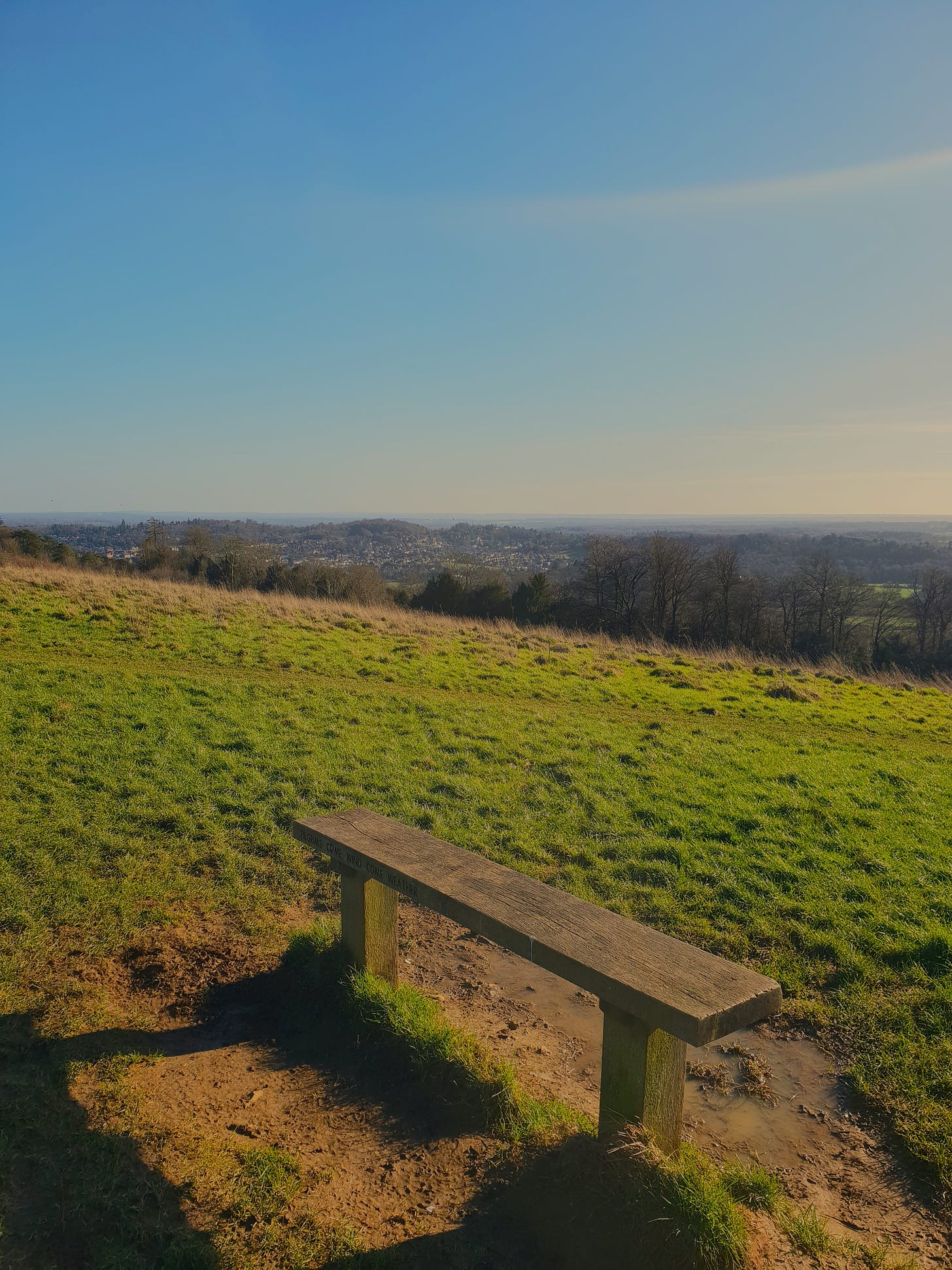A bench overlooking a hillside on a sunny winter's day
