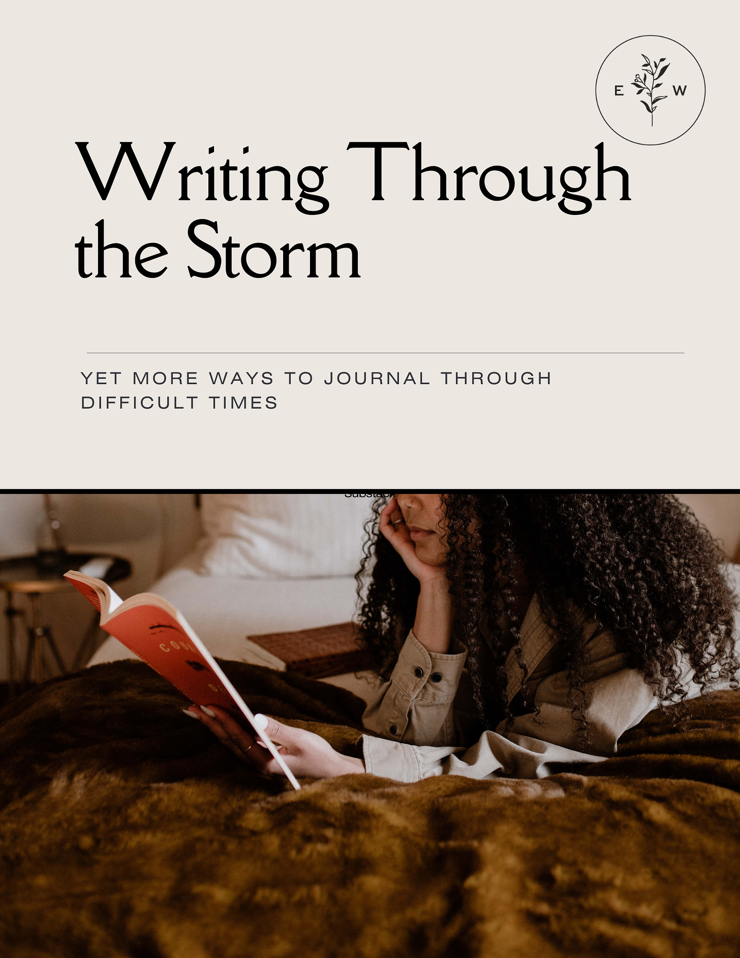 the cover of Writing Through the Storm