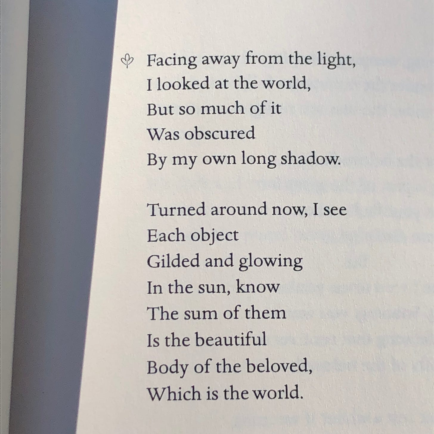 A poem: Facing away from the light, I looked at the world, but so much of it was obscured by my own long shadow. Turned around now, I see each object gilded and glowing in the sun, know the sum of them is the beautiful body of the beloved, which is the world.