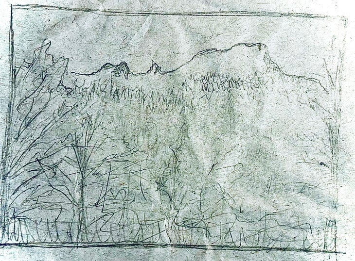 pencil drawing of a mountain ridge and trees