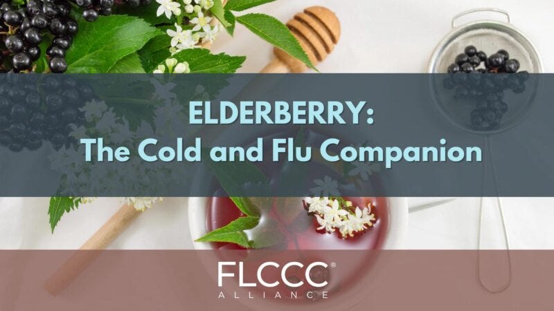 Elderberry- The Cold and Flu Companion