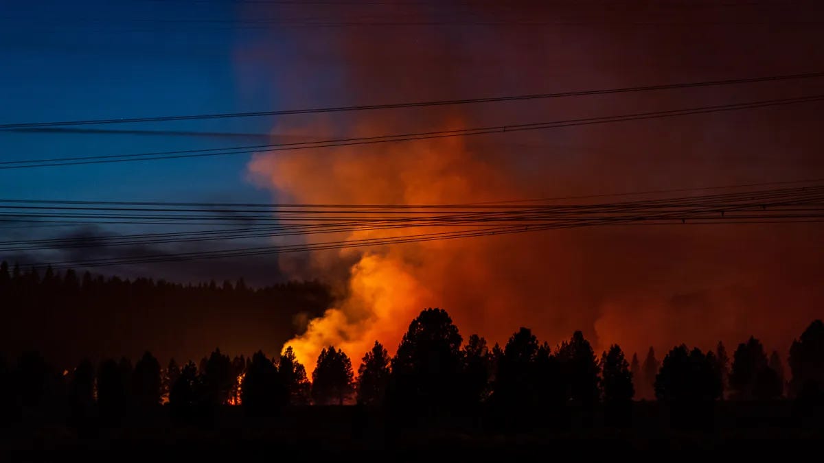 Wildfire burns in Oregon forest