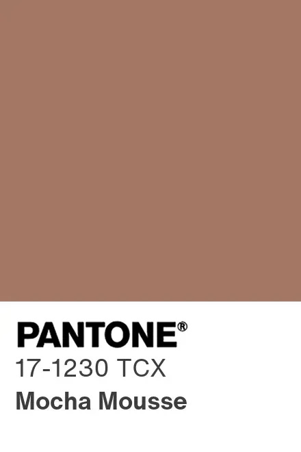 Pantone 17-1230 Mocha Mousse Color Chip