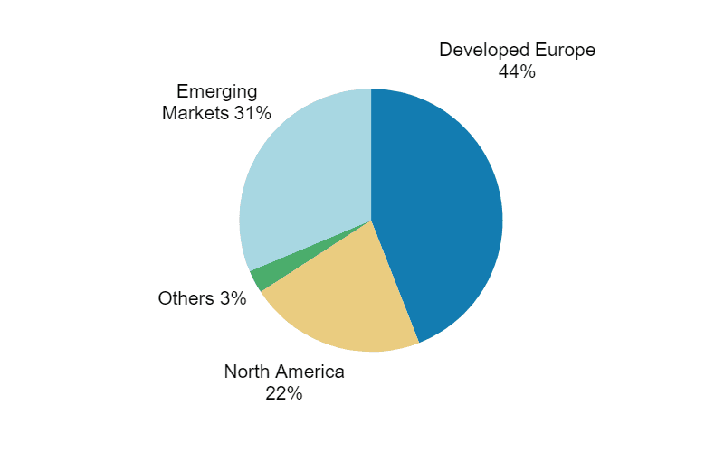 Where European companies get their revenue. Source: Morgan Stanley.