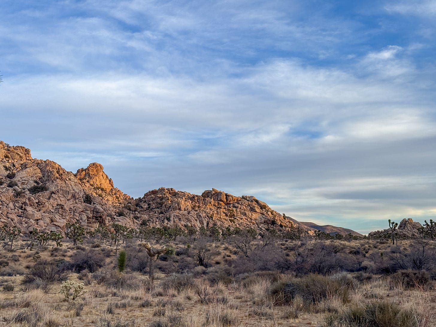 Light wispy clouds crowd the blue sky. There are rocky mountains in a golden glow of sunset to the left, and several Joshua trees in the foreground.