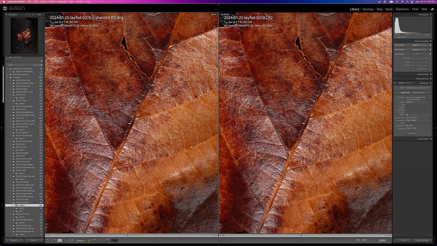 Adobe Lightroom RAW Details results