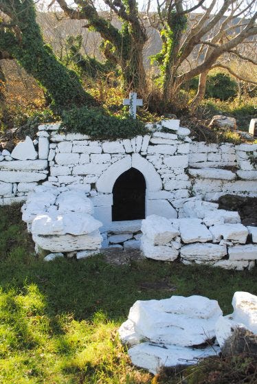 A white stone structure with a small cross is surrounded by moss and trees covered in vines.