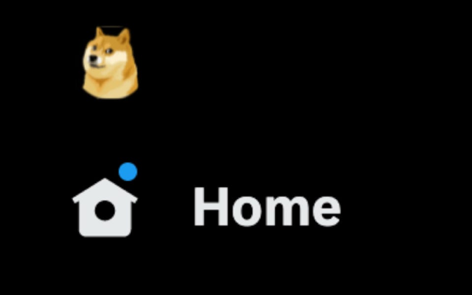 Musk responds as Twitter deletes bird logo, adds DogeCoin Dog while Blue  Ticks remain... for now