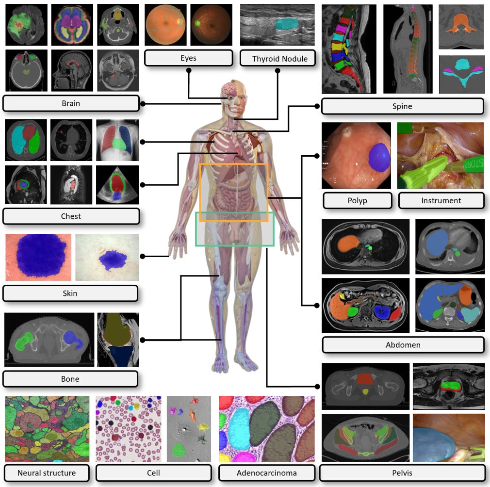 Medical Image Data