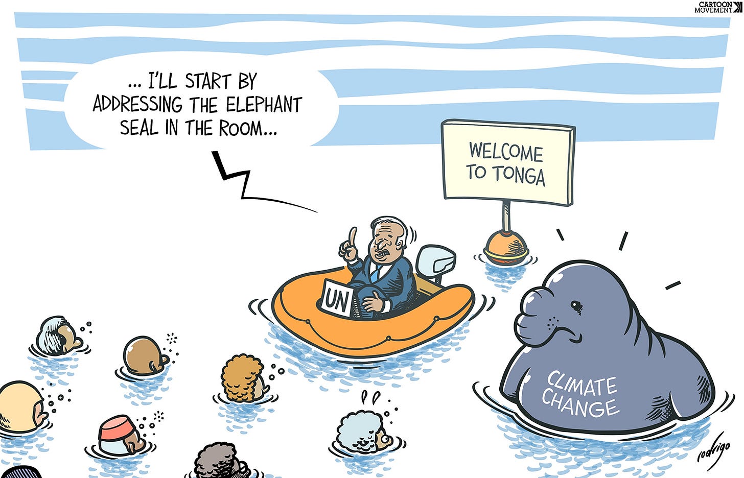 Cartoon showing UN Secretary-General António Guterres in a rubber boat addressing the leaders of Tonga, who are all sanding in the water with just the top of their heads sticking out. Guterres says: 'I'll start by addressing the elephant seal in the room. Next to him we see an elephant seal labeled 'climate change'.