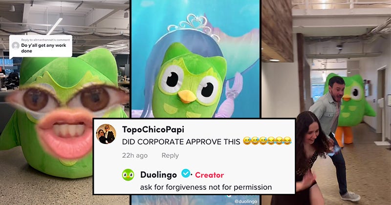 Duolingo Has Become Completely Unhinged on TikTok, They're the Unexpected  Kings of this Silly Little App - Memebase - Funny Memes