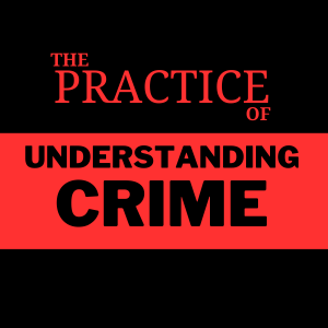 The Practice of Understanding Crime