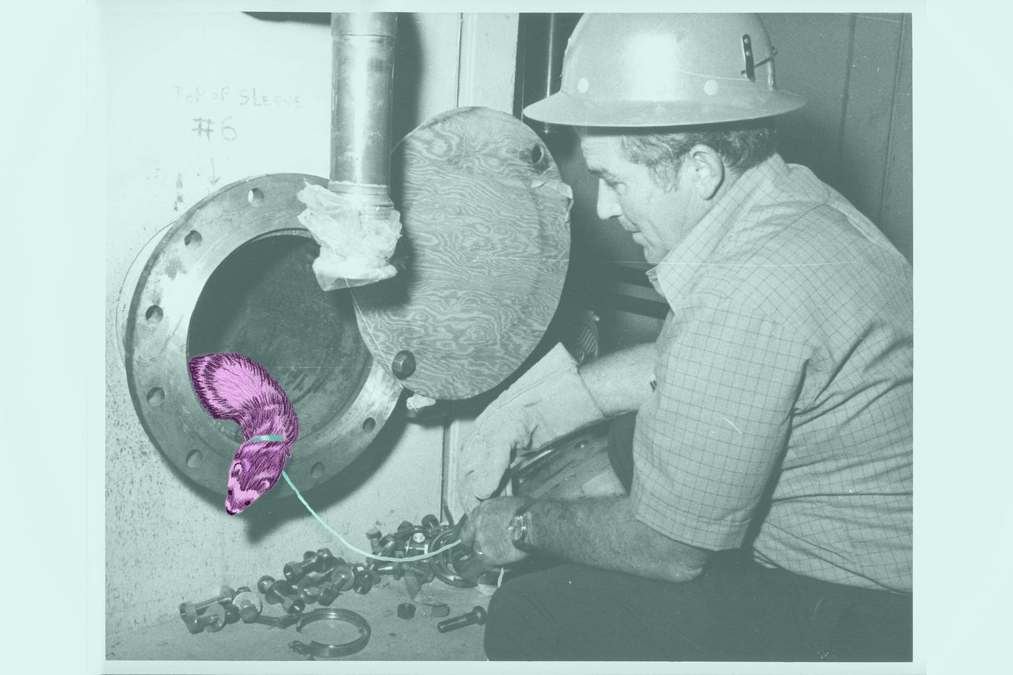 A black-and-white photograph altered with colored pencil. The photograph shows a man in a hard hat crouching by one end of a metal tube. The floor beneath the tube is strewn with large metal bolts. The illustration depicts a tiny fuchsia ferret exiting the tube, poking her nose into the room. A string trails from the ferret’s collar to the man’s hand. 