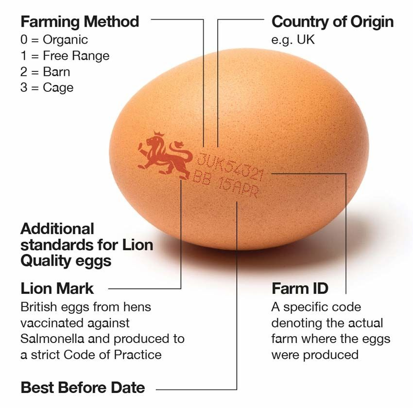 The British Lion egg stamp includes the way the hens were raised, the farm code, the country code, the best before date as well as the British Lion Mark.