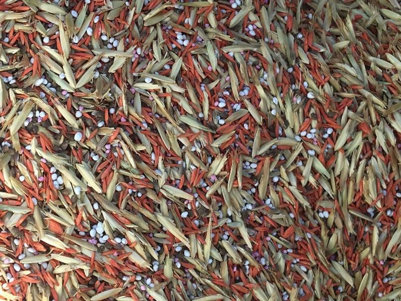 A pile of seeds and leaves AI-generated content may be incorrect.