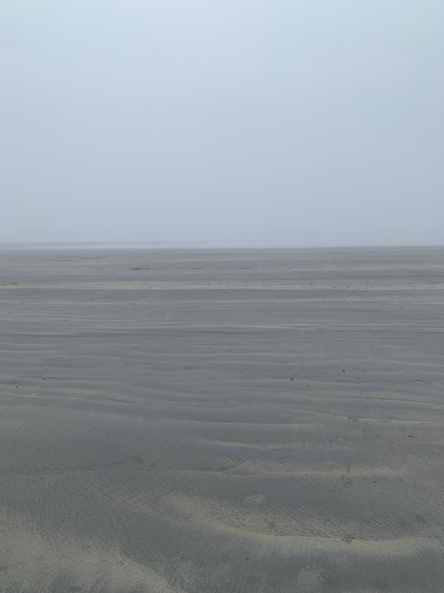 A foggy morning at the beach, and it's difficult to tell what's the sand what's the sky and what's the water.