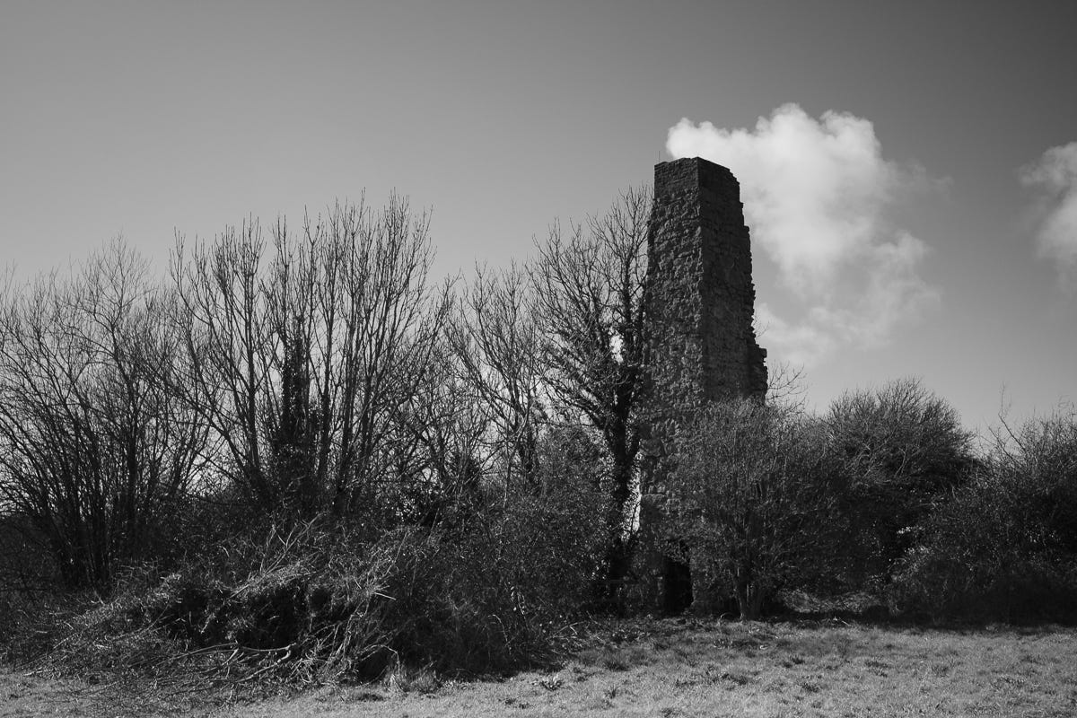 Black and white photograph of bare trees and a ruined brick smoke stack