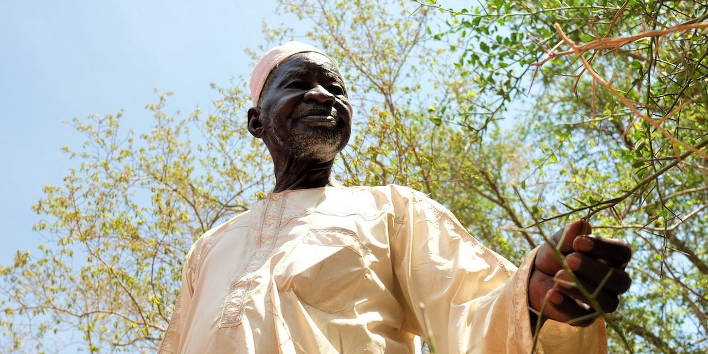 Yacouba Sawadogo. The African farmer who stopped the desert