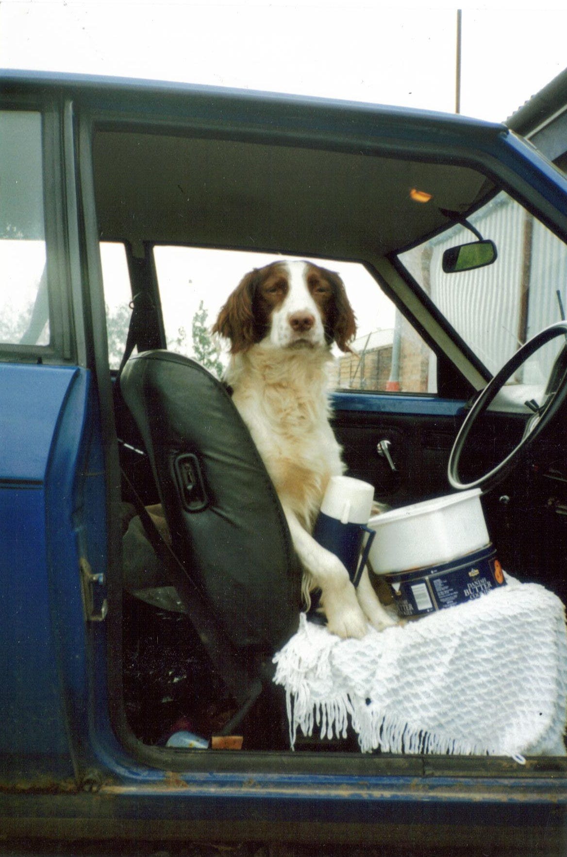 A hound and his packed lunch sitting in a car