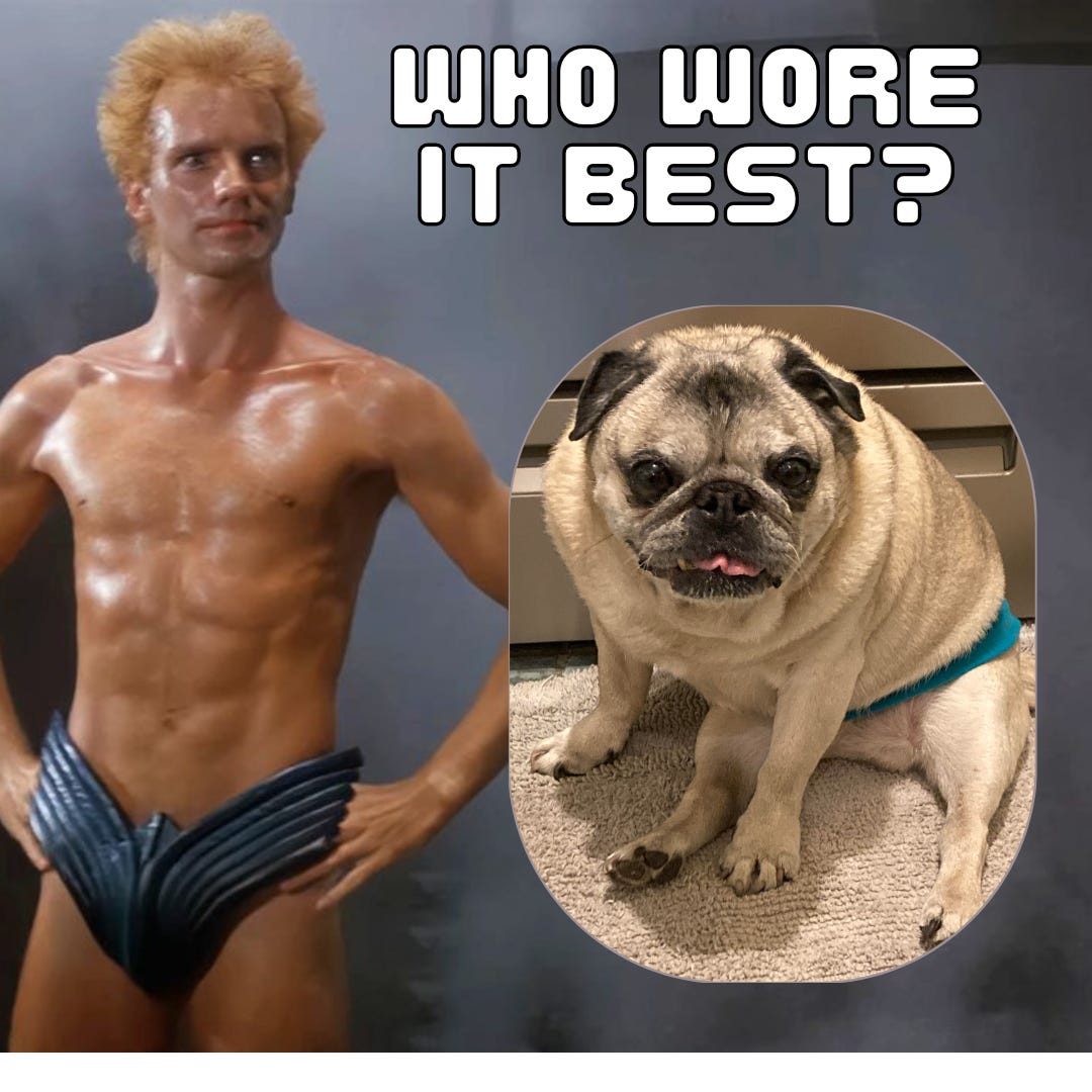 Sting, in only a small pair of space underwear from the film dune, next to a pug wearing a similar blue speedo. Above it the words Who Wore It Best