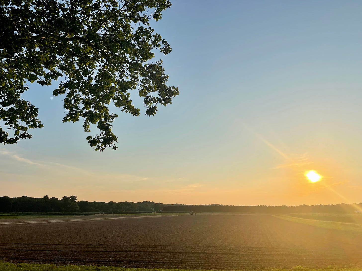 Sunset over a plowed farm field . Branches hang in the foreground. The sun is a bulb on the right, hanging an  inch above the ground.