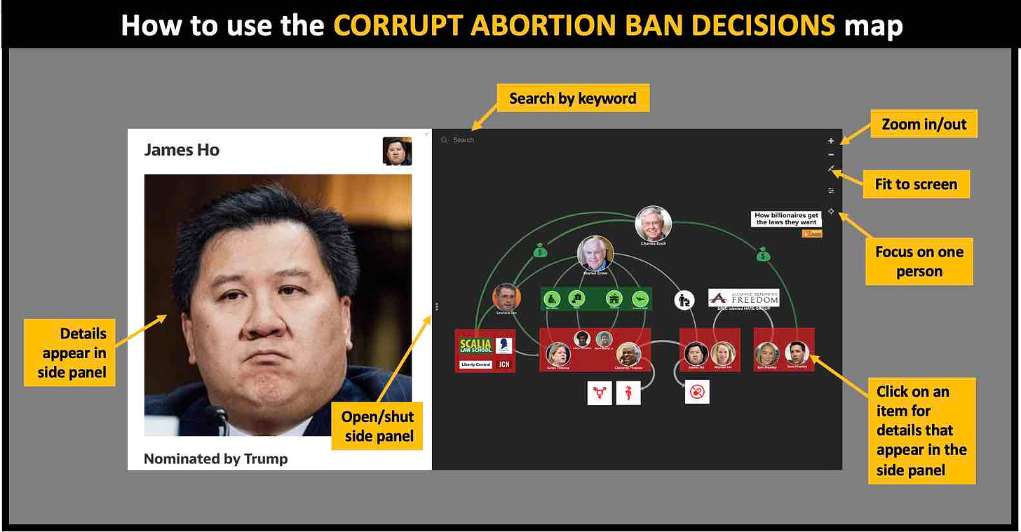 How to use the Corrupt Abortion Ban Decisions map