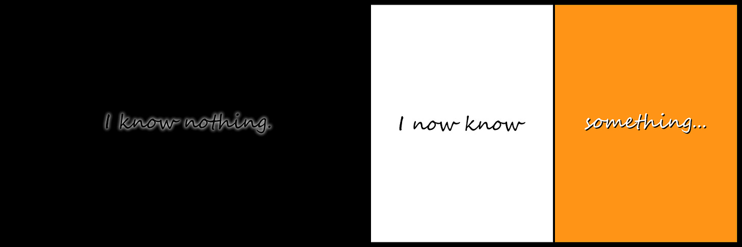 This image consists of three vertical panels side by side within a black background, each panel contains a different word or words. The left panel is black with the words ‘I know nothing.’ written in black with a white glow, the middle panel is white with the words ‘I now know’ written in black, and the right panel is orange with the word ‘something…’ written in white with a black shadow. There is a thin black line between the white and orange panels.