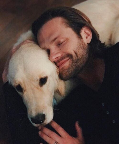 jared padalecki service dog arlo 332