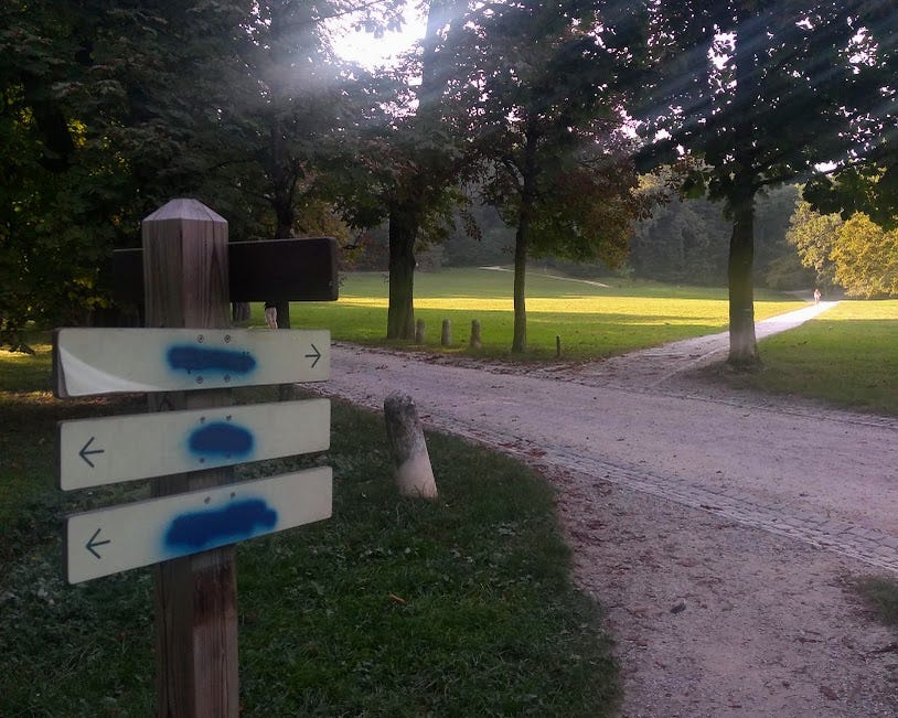 Picture of a park and some signposts where the names have been spraypainted over.