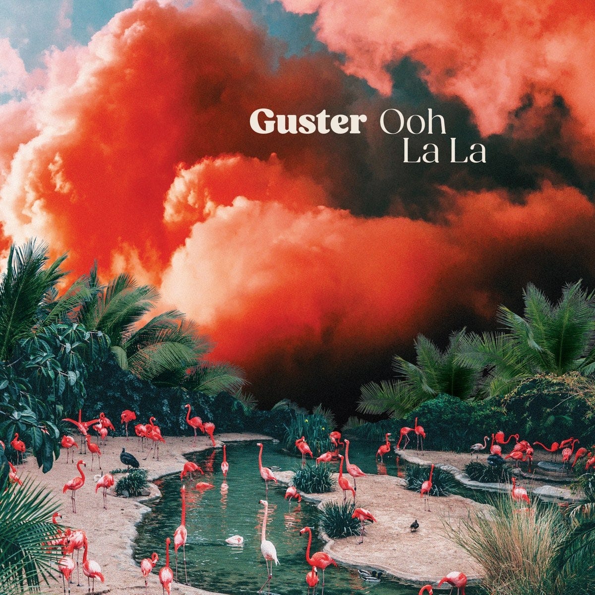 Album cover for Guster's album Ooh La La (2024): a tropical scene of pink flamingoes under deep-pink sunset clouds