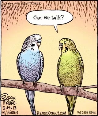 A comic showing two parrots sitting on a branch, looking at each other. The parrot on the right says, “Can we talk?” A comic showing two parrots sitting on a branch, looking at each other. The parrot on the right says, “Can we talk?”